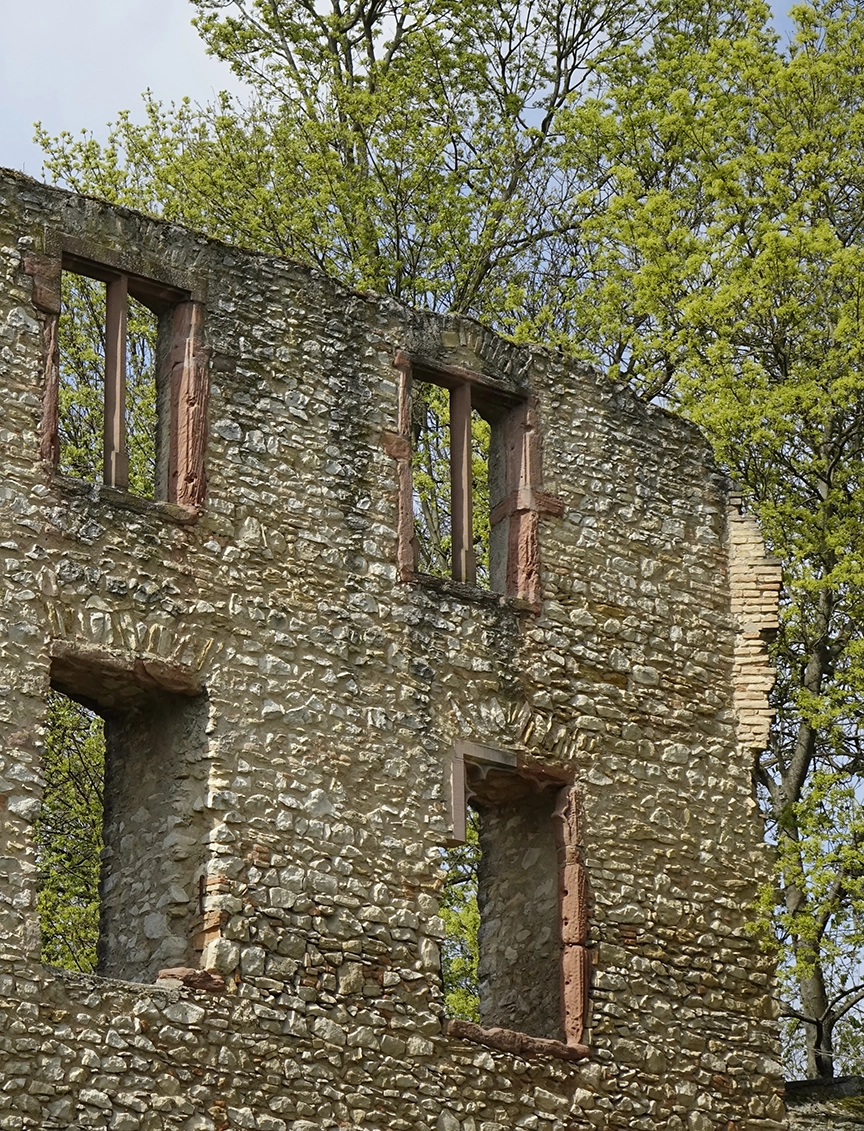 Alte Mauer mit Fenstern und Bäumen